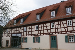 Henselei-3